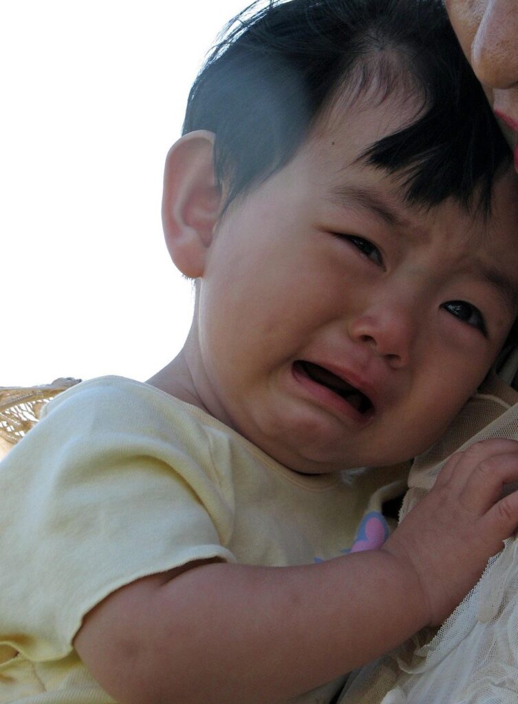 auntmasako child 1665055 1920